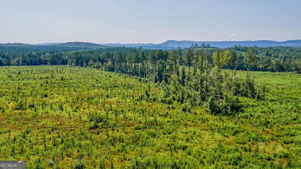 LOT 1 Back Valley RD Lyerly, GA 30730