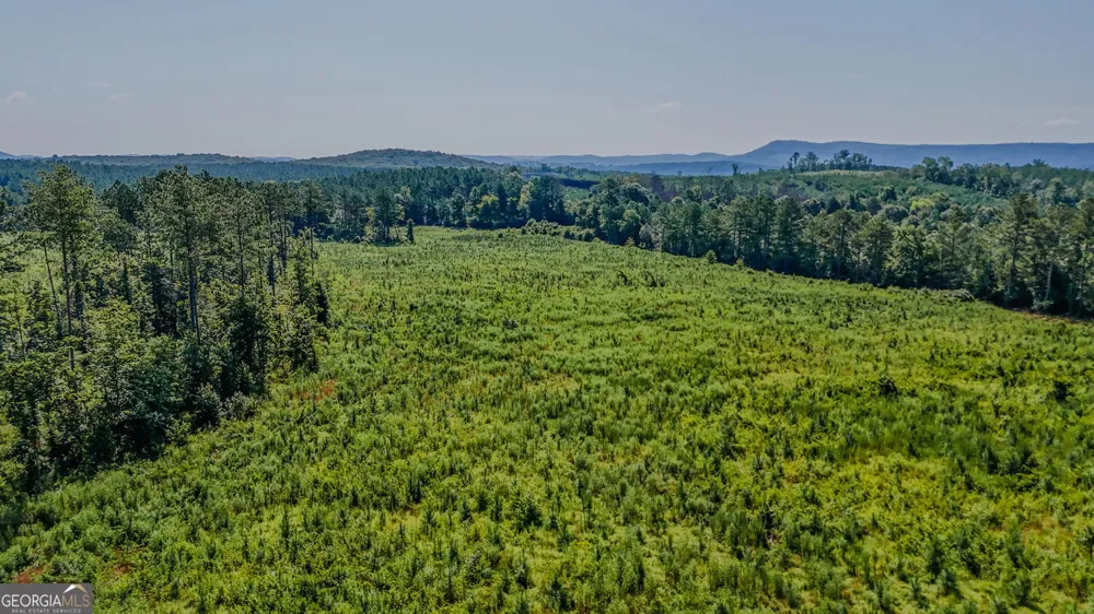 LOT 1 Back Valley RD Lyerly, GA 30730