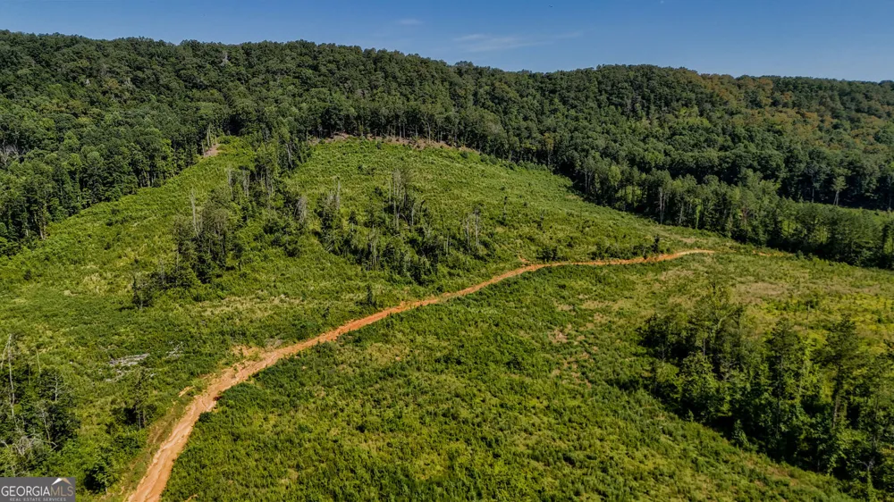 LOT 1 Back Valley RD Lyerly, GA 30730