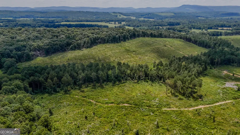TRACT 8 Back Valley RD Lyerly, GA 30730
