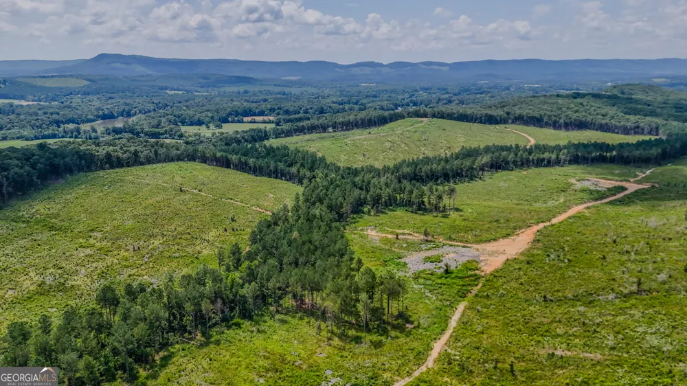 TRACT 8 Back Valley RD Lyerly, GA 30730