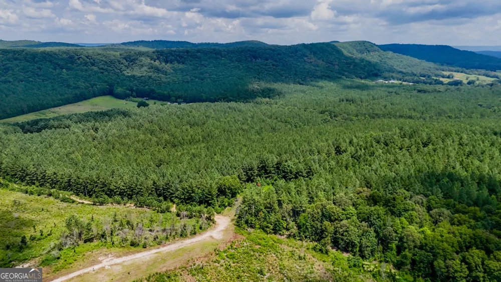 TRACT 8 Back Valley RD Lyerly, GA 30730