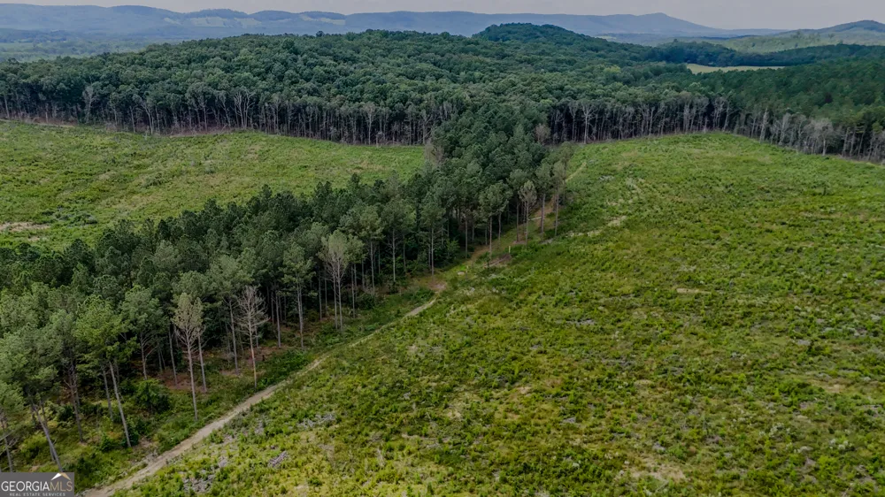 TRACT 8 Back Valley RD Lyerly, GA 30730