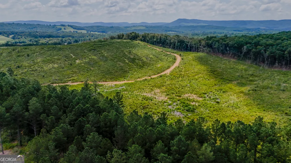 TRACT 8 Back Valley RD Lyerly, GA 30730