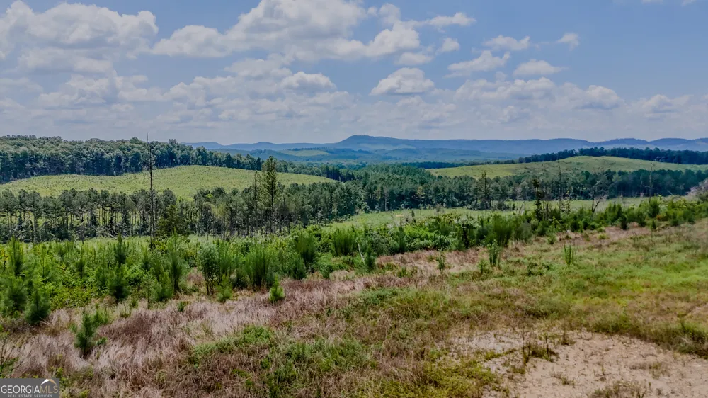 TRACT 8 Back Valley RD Lyerly, GA 30730