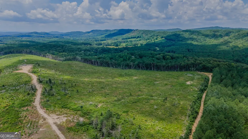 TRACT 8 Back Valley RD Lyerly, GA 30730