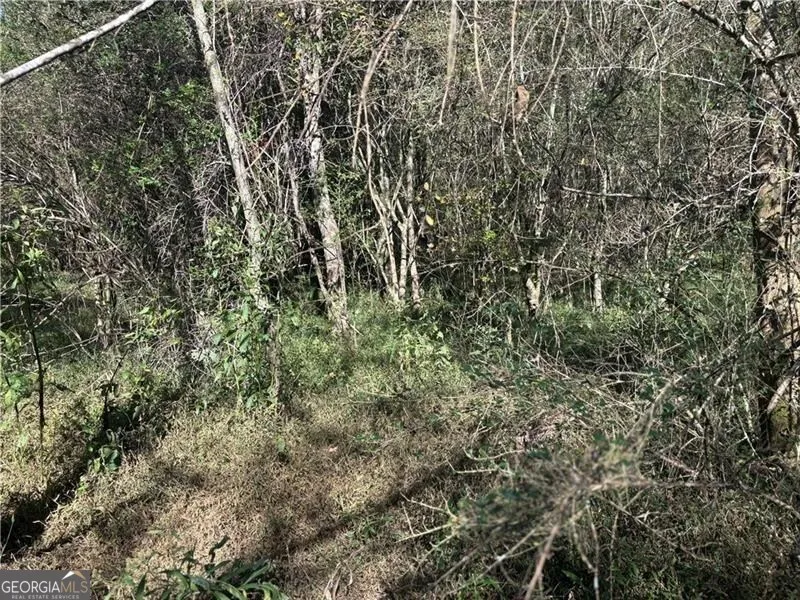 0 Roseberry LN Murrayville, GA 30564
