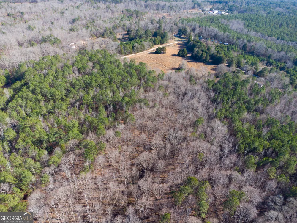 0 Levi Bradbury RD Moreland, GA 30259