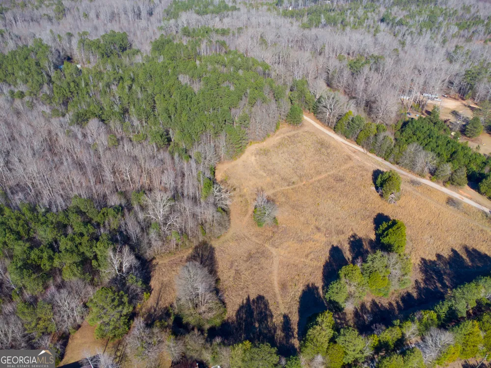 0 Levi Bradbury RD Moreland, GA 30259