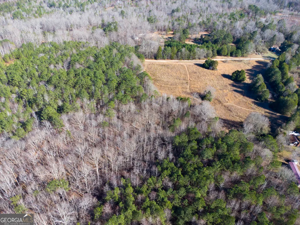 0 Levi Bradbury RD Moreland, GA 30259
