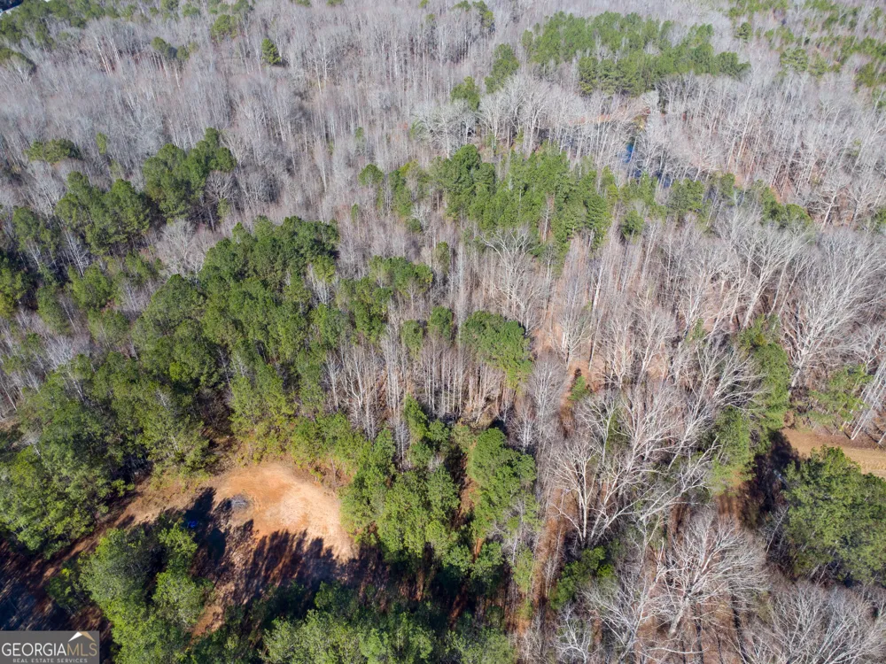 0 Levi Bradbury RD Moreland, GA 30259