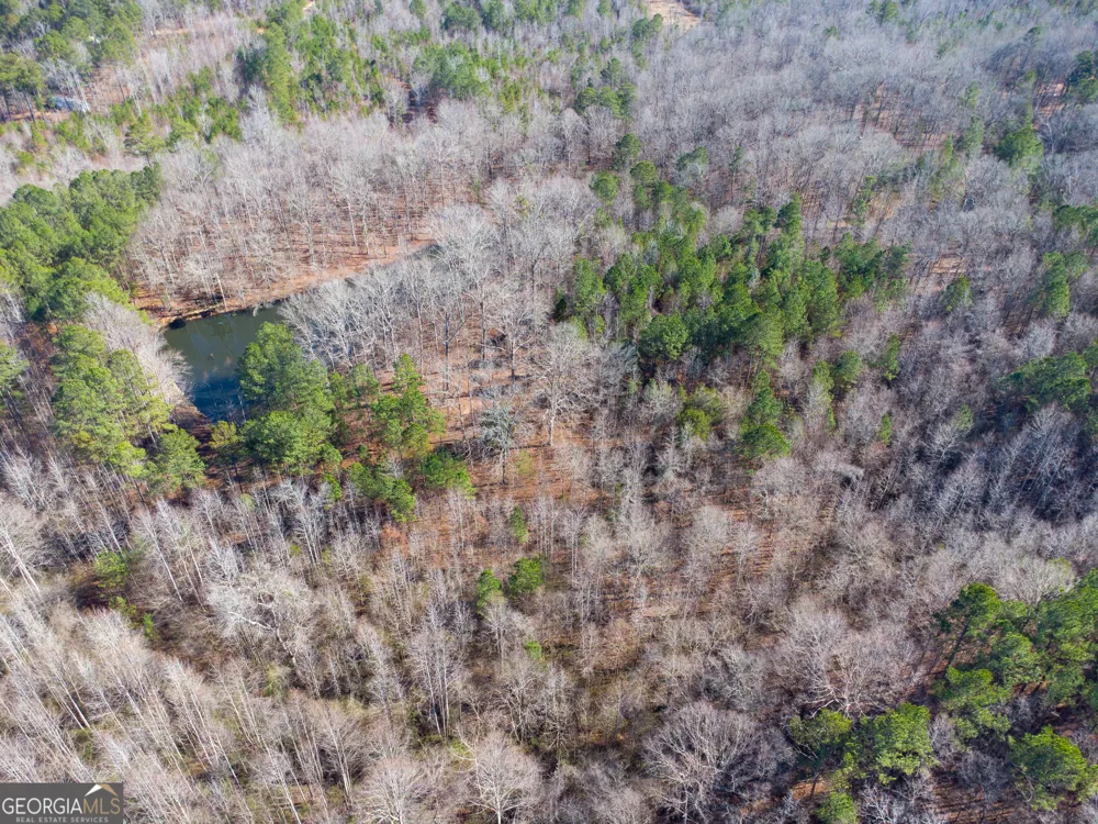 0 Levi Bradbury RD Moreland, GA 30259
