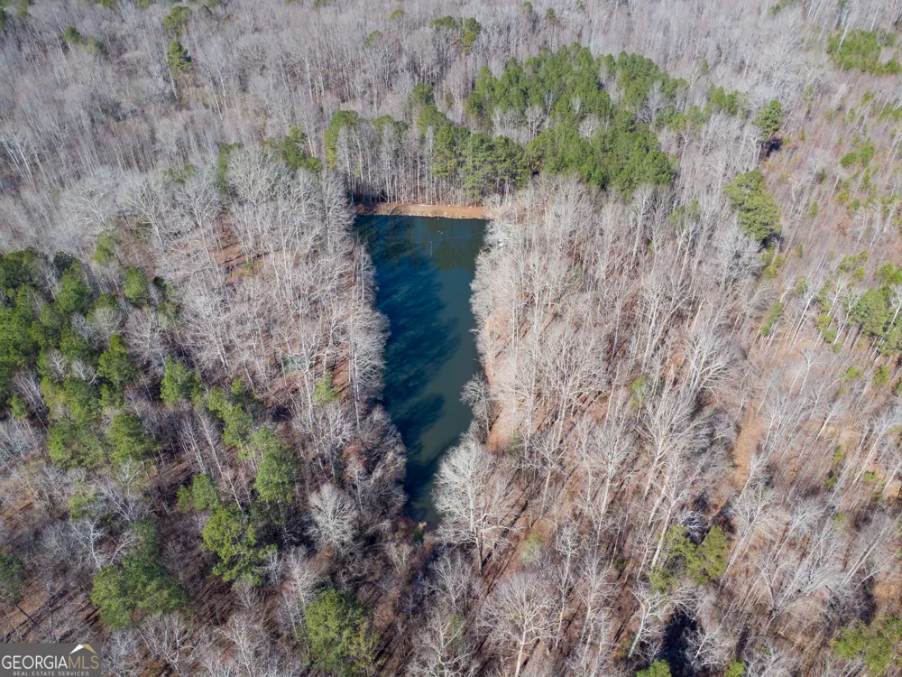 0 Levi Bradbury RD Moreland, GA 30259