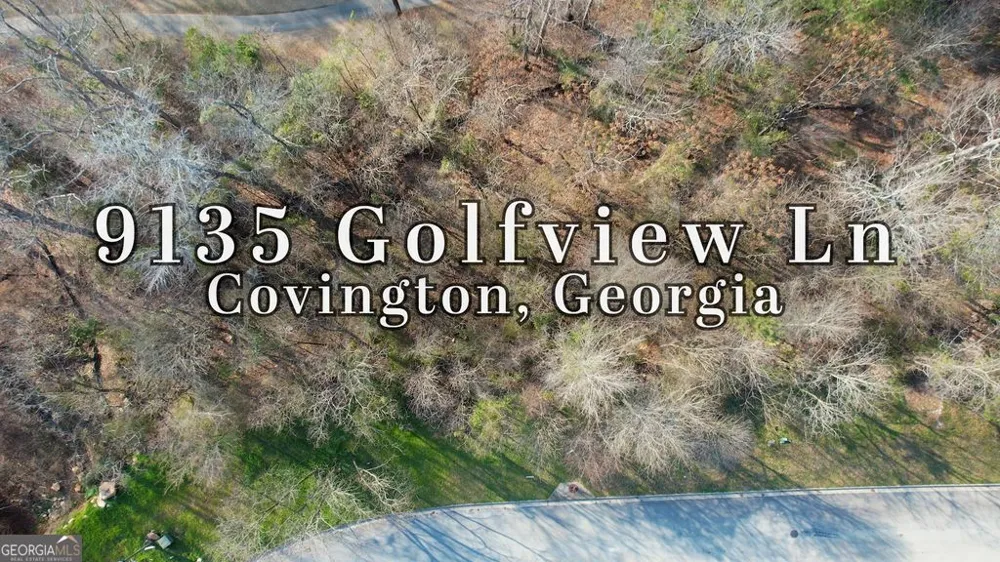 9135 Golfview LN Covington, GA 30014