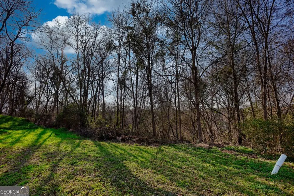 9135 Golfview LN Covington, GA 30014