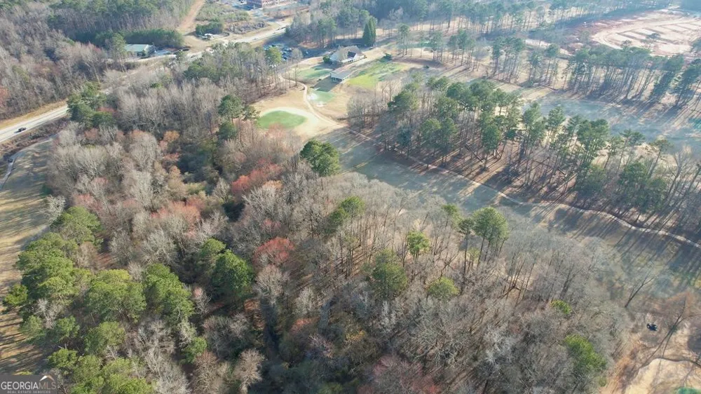 9135 Golfview LN Covington, GA 30014