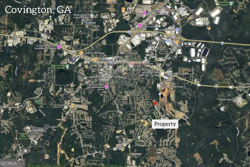 9131 Golfview LN Covington, GA 30014