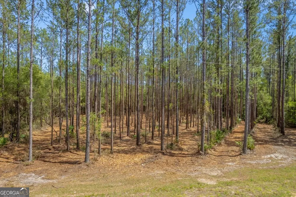 LOT 22 Heritage WAY Hortense, GA 31543