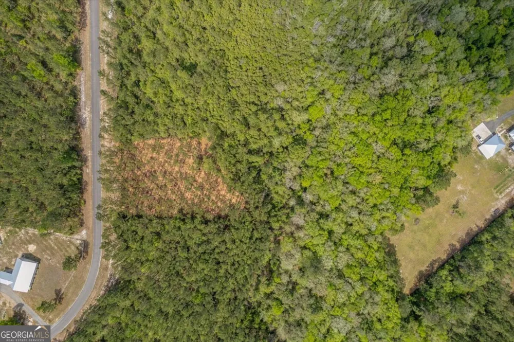 LOT 22 Heritage WAY Hortense, GA 31543