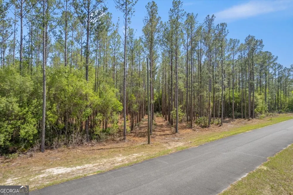 LOT 22 Heritage WAY Hortense, GA 31543