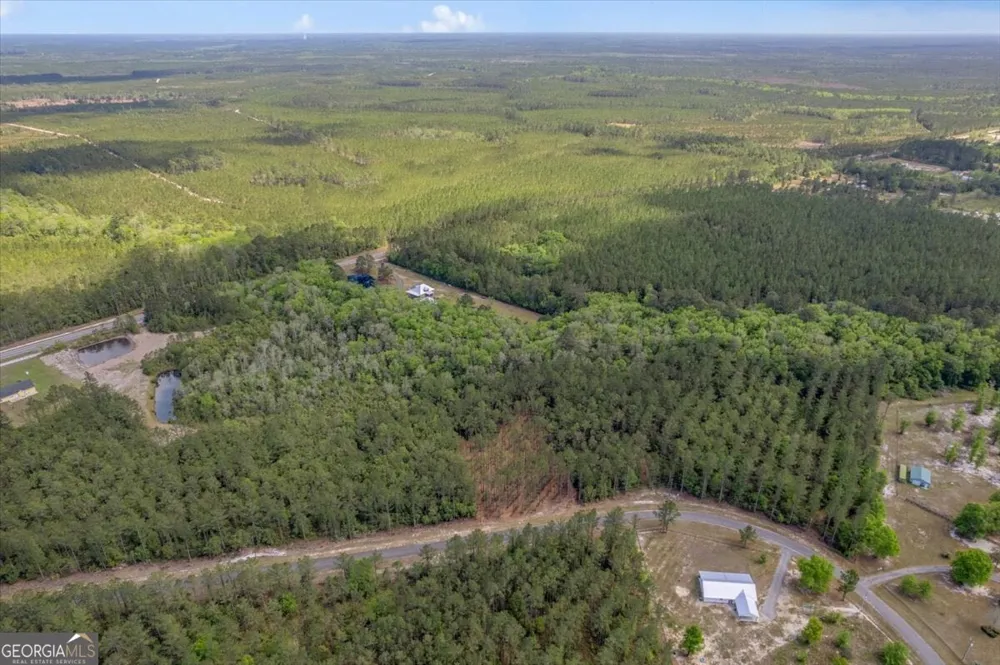 LOT 22 Heritage WAY Hortense, GA 31543