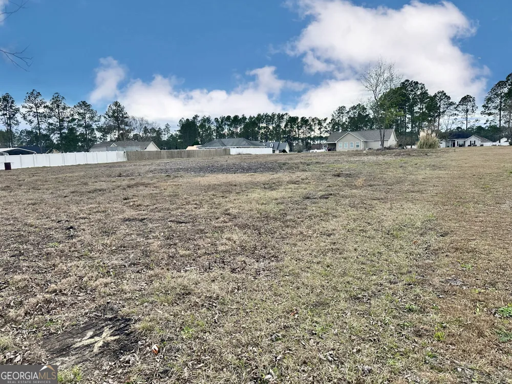 0 Southside DR Blackshear, GA 31516