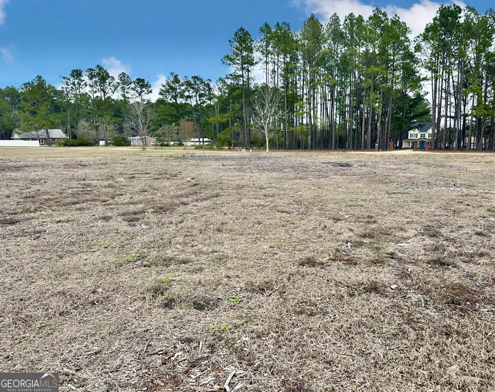 0 Southside DR Blackshear, GA 31516