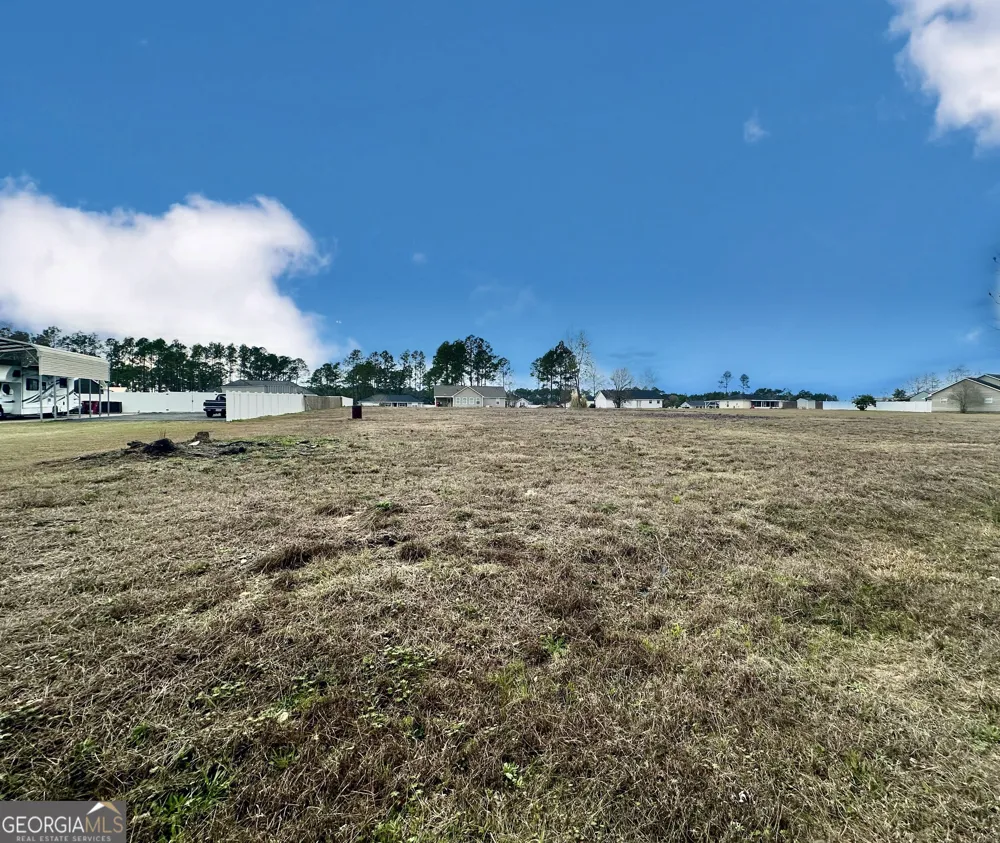 0 Southside DR Blackshear, GA 31516