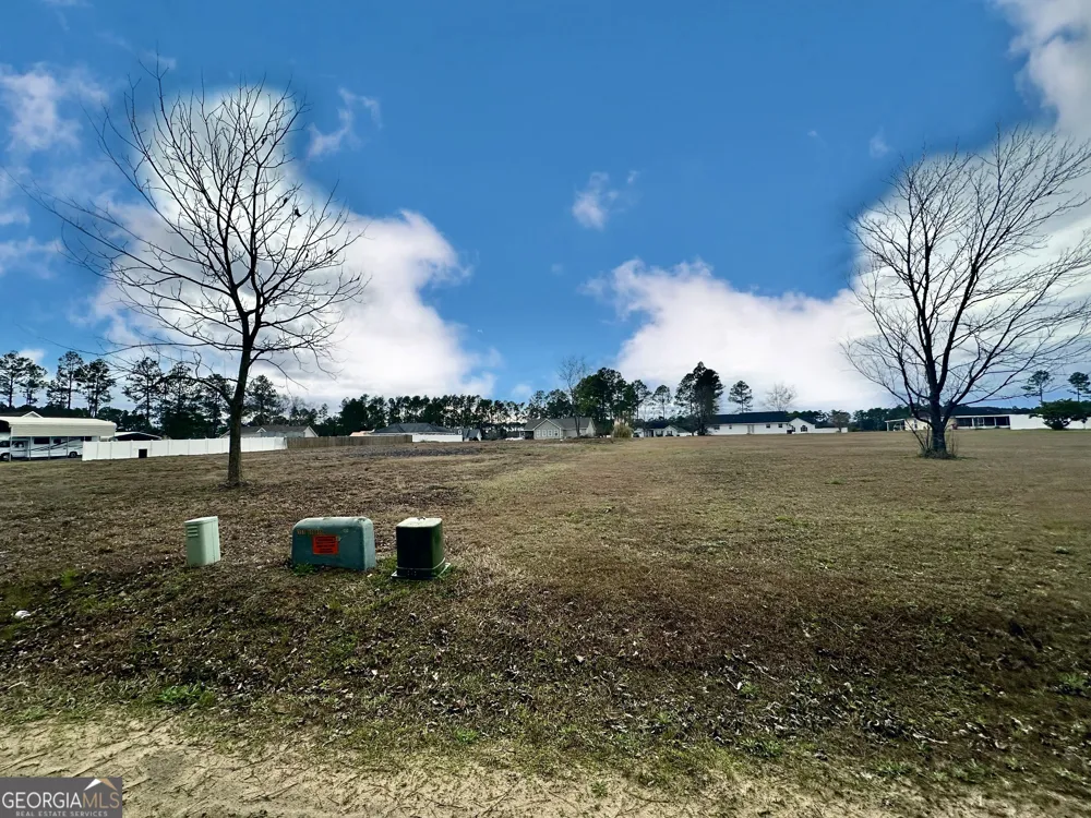 0 Southside DR Blackshear, GA 31516