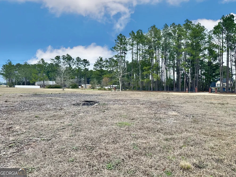 0 Southside DR Blackshear, GA 31516