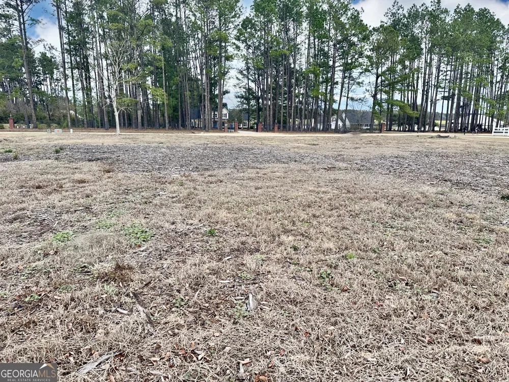 0 Southside DR Blackshear, GA 31516
