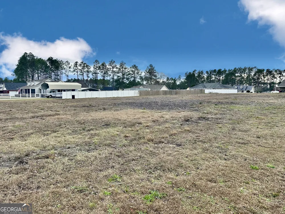 0 Southside DR Blackshear, GA 31516