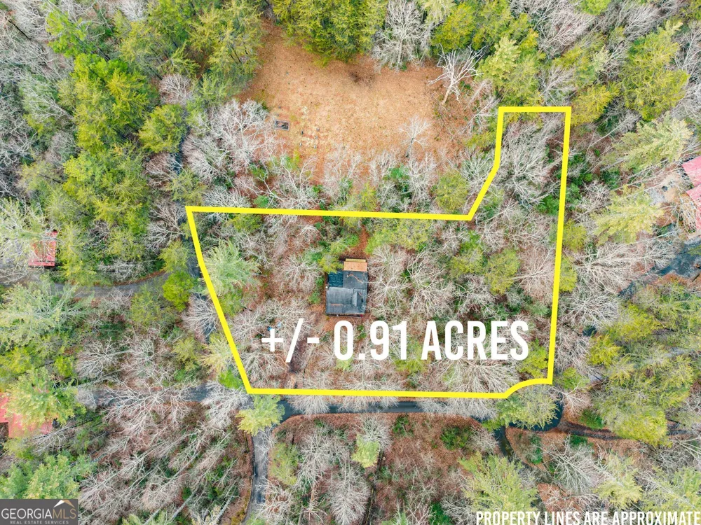 3 Ramblewood DR Sautee Nacoochee, GA 30571