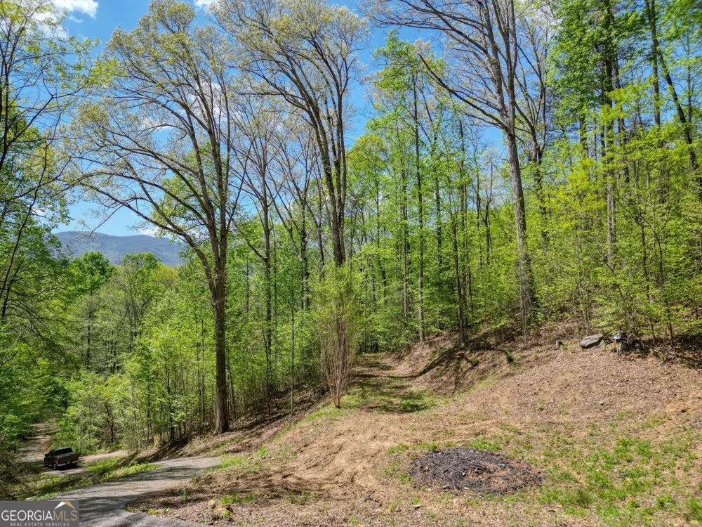 370 Taylor WAY Hiawassee, GA 30546