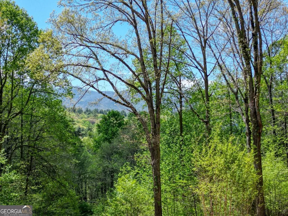 370 Taylor WAY Hiawassee, GA 30546