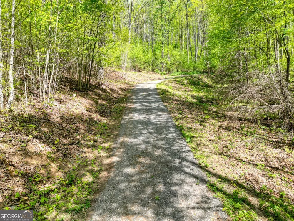 370 Taylor WAY Hiawassee, GA 30546