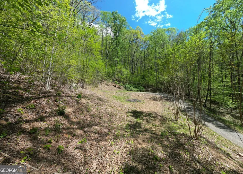 370 Taylor WAY Hiawassee, GA 30546