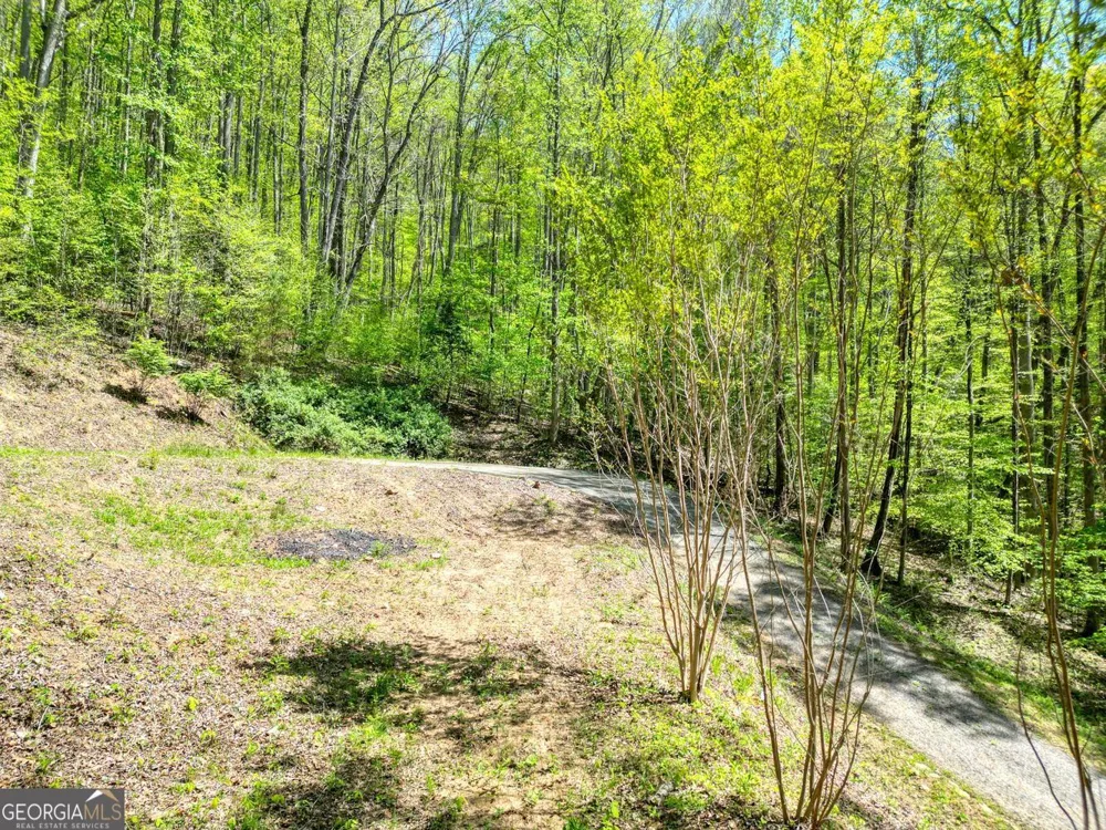 370 Taylor WAY Hiawassee, GA 30546