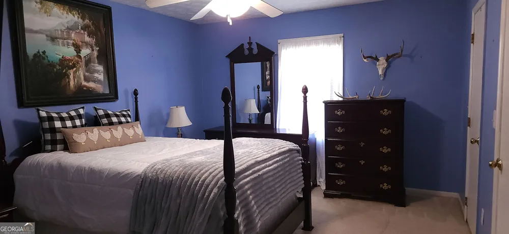 6404 Cartledge RD Box Springs, GA 31801