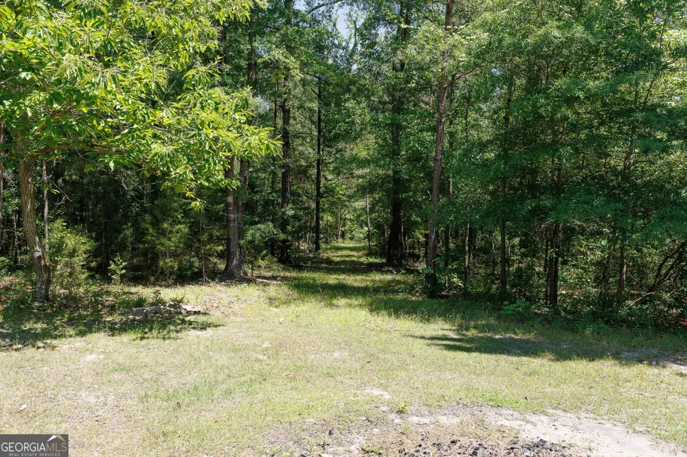 6404 Cartledge RD Box Springs, GA 31801