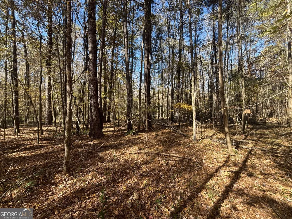 0 Oconee Rd Lot 7 Buckhead, GA 30625