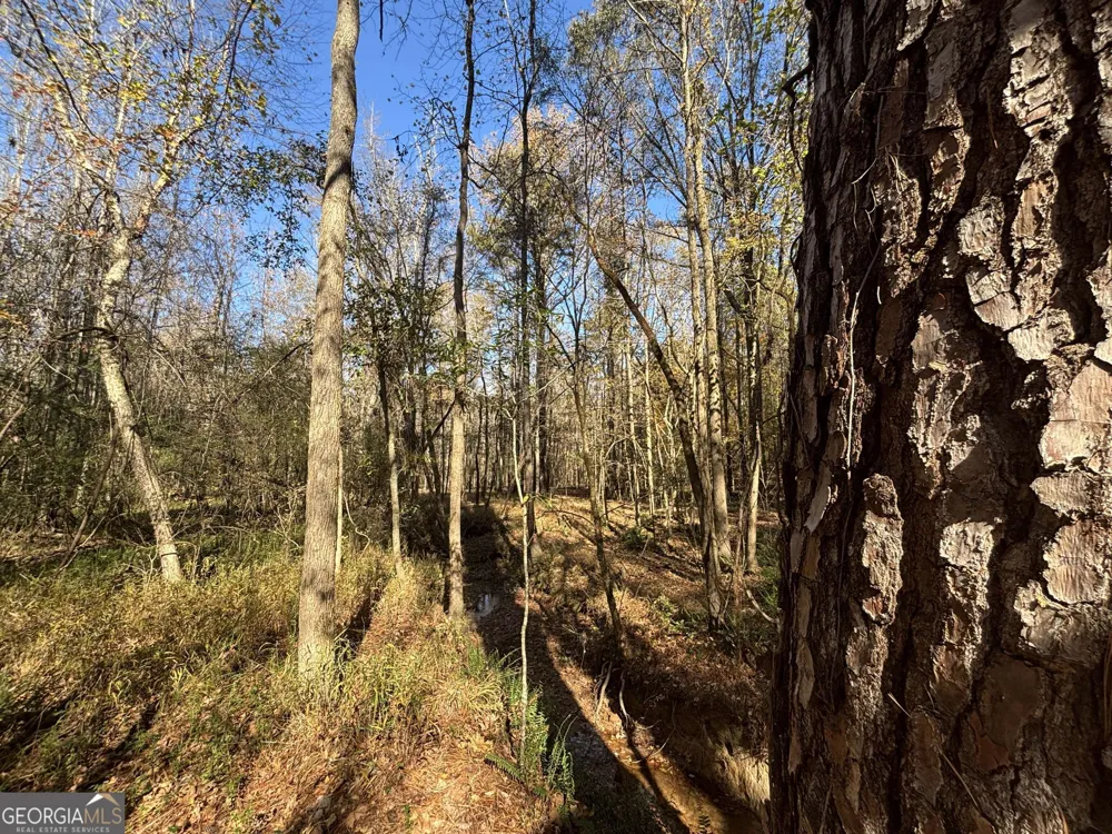 0 Oconee Rd Lot 7 Buckhead, GA 30625