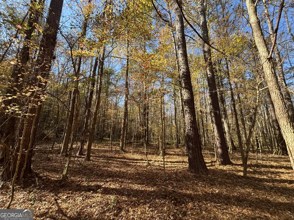 0 Oconee Rd Lot 7 Buckhead, GA 30625