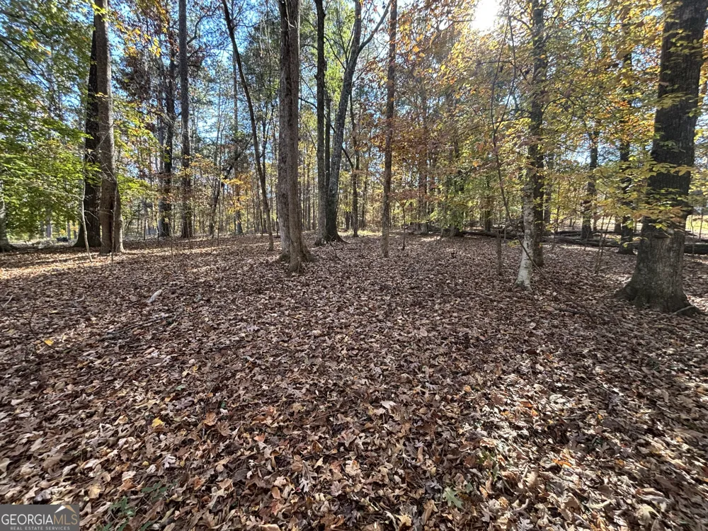 0 Heidi Trl Lot 10 Buckhead, GA 30625