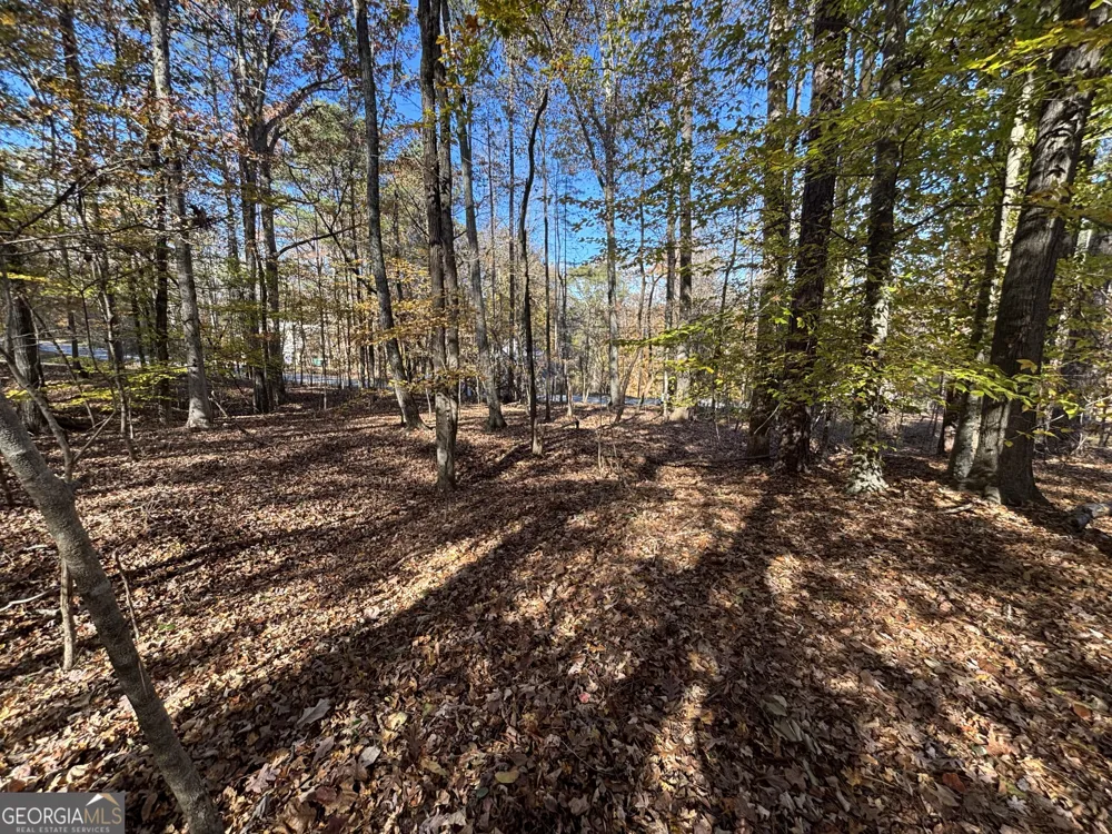 0 Heidi Trl Lot 10 Buckhead, GA 30625