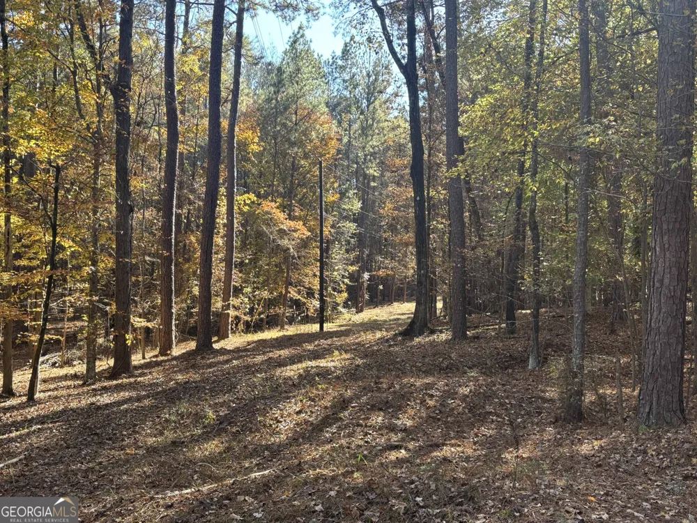 0 Heidi Trl Lot 10 Buckhead, GA 30625