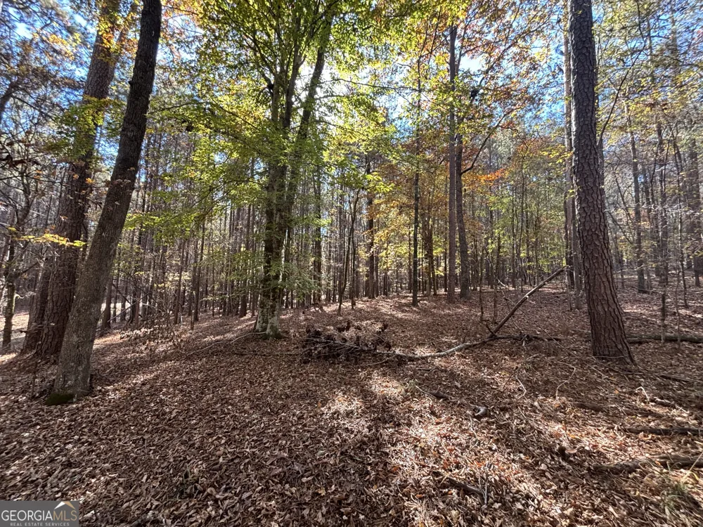 0 Heidi Trl Lot 10 Buckhead, GA 30625