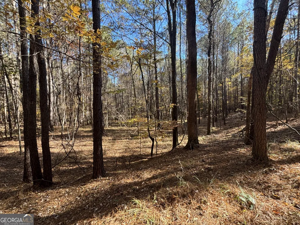 0 Heidi Trl Lot 10 Buckhead, GA 30625