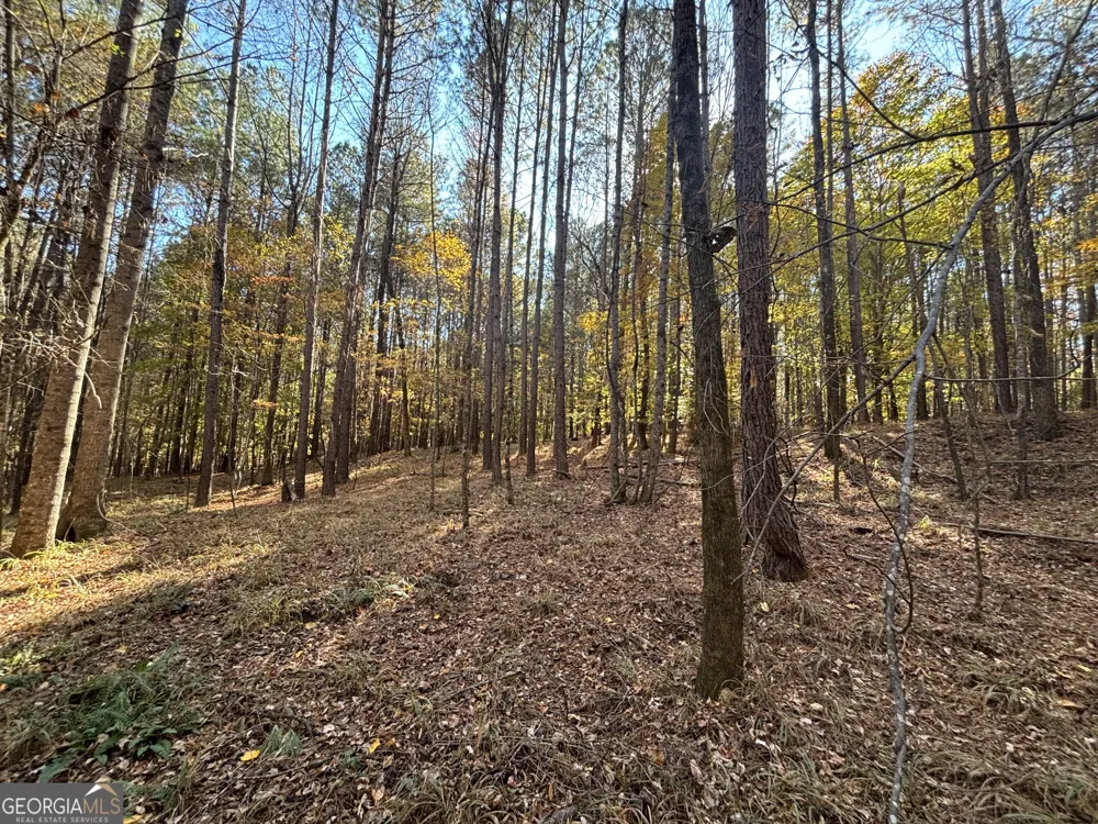 0 Heidi Trl Lot 10 Buckhead, GA 30625