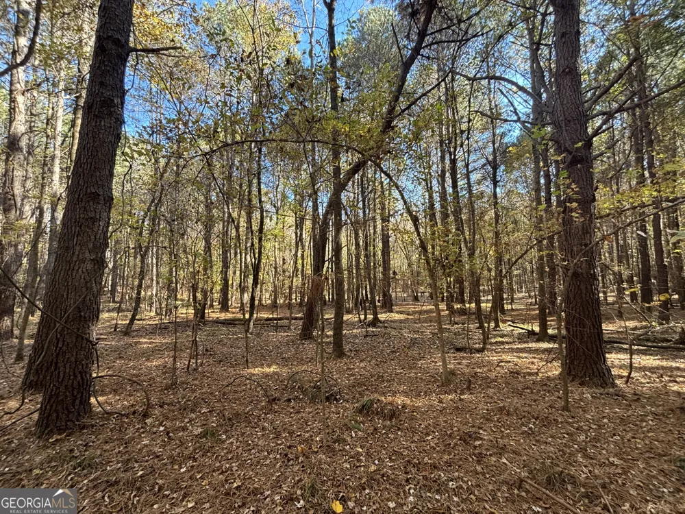 0 Heidi Trl Lot 10 Buckhead, GA 30625